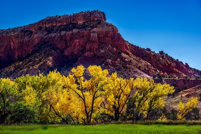 local seo new mexico