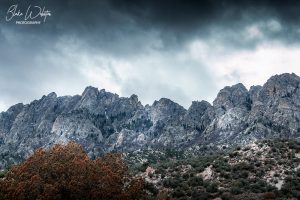 Mount Scenery - Organ Mountains